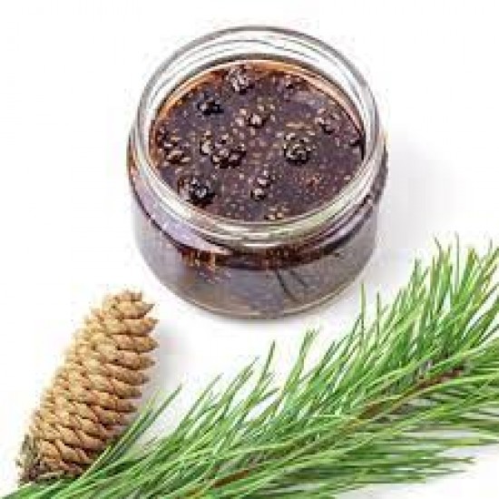 Çam Kozalak Şurubu (450 gr) Şifa niyetine Ev yapımı Çam Kozalak Şurubu (450 gr) Şifa niyetine Ev yapımı