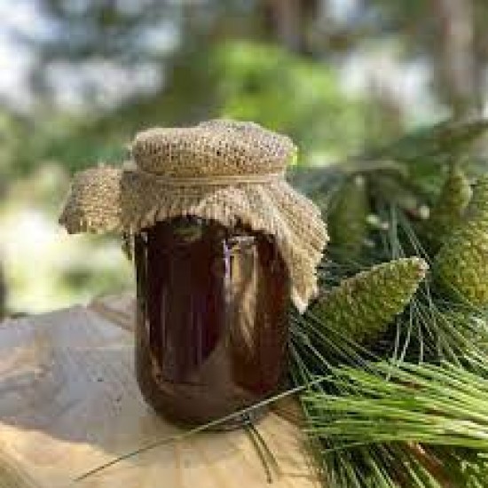 Çam Kozalak Şurubu (450 gr) Şifa niyetine Ev yapımı Çam Kozalak Şurubu (450 gr) Şifa niyetine Ev yapımı