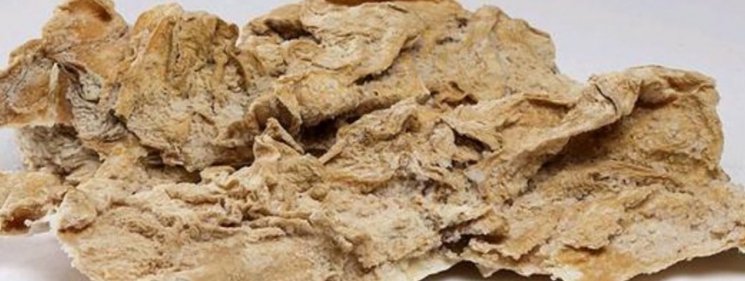 Kargı Tulum Peyniri, Şirden Mayası, Nasıl Yapılır ? Kargı Tulum Peyniri, Şirden Mayası, Nasıl Yapılır ?