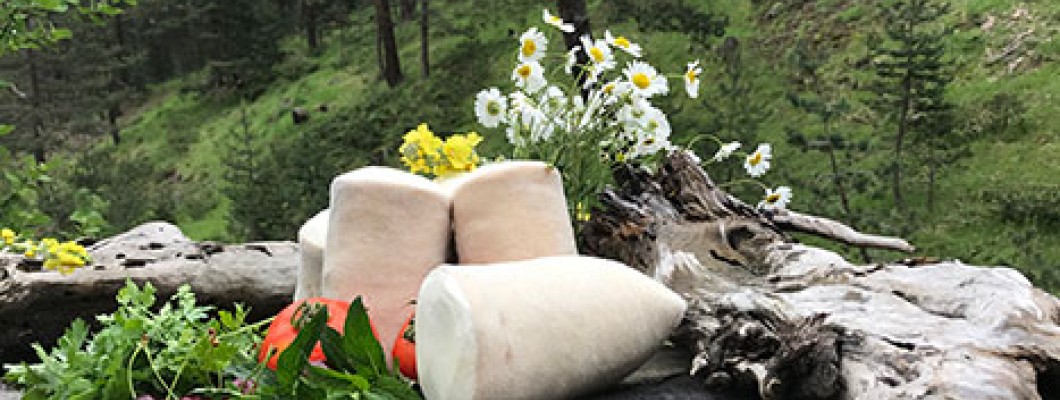 Kargı Tulum Peyniri Yapımına Nasıl Başladık ? Kargı Tulum Peyniri Yapımına Nasıl Başladık ?