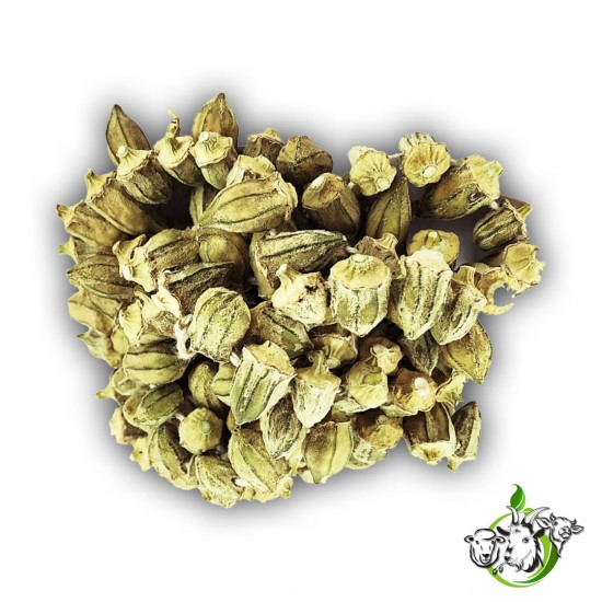 Çiçek Bamya (Kuru) 500 gr 1.Kalite %100 Doğal ve Organik Çiçek Bamya (Kuru) 500 gr 1.Kalite %100 Doğal ve Organik